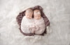 identical twin girls! 6 week old sisters